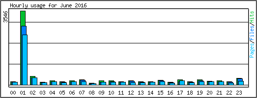 Hourly usage