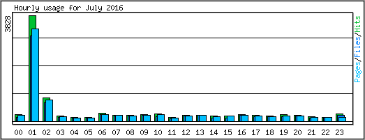 Hourly usage