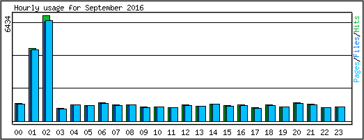 Hourly usage