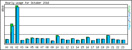 Hourly usage